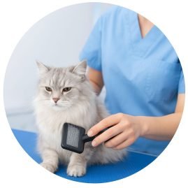 4b41a8ec-a098-4b3e-9497-c505a07c3312