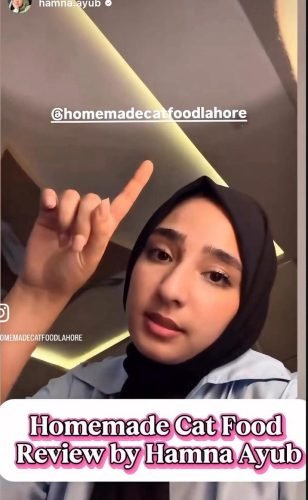 WhatsApp Image 2025-10-27 at 11.55.09 AM WhatsApp Image 2025-10-27 at 11.55.09 AM