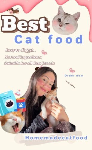 WhatsApp Image 2025-10-27 at 6.12.24 AM (1) WhatsApp Image 2025-10-27 at 6.12.24 AM (1)